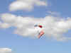 IM000057.JPG (279996 bytes)
