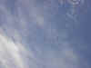 IM000292.JPG (262622 bytes)